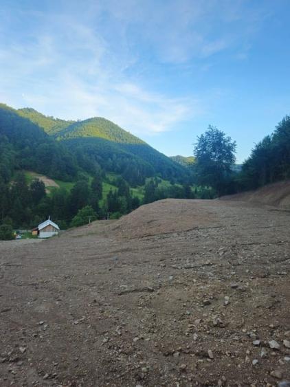Teren Construcții intravilan de 10000 mp, în Bistrița Bârgăului