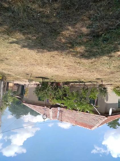 Casă cu 3 camere în Central