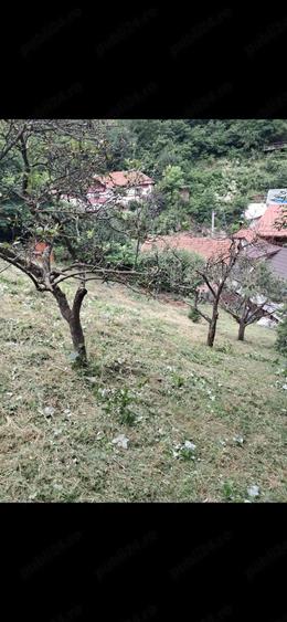 Teren de 2759 mp, în Schei