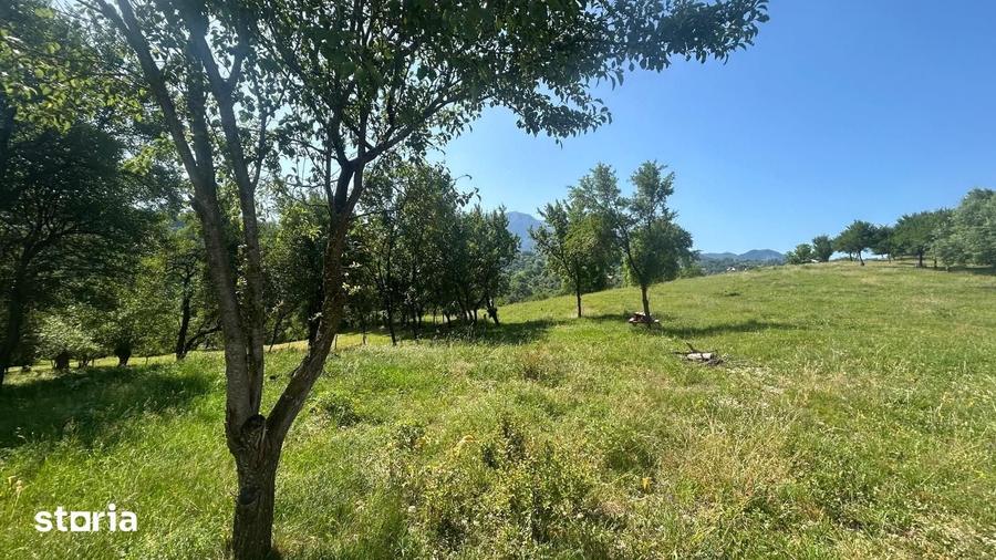 Teren de 2951 mp, în Bran