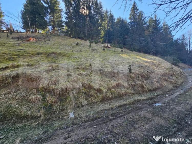 Teren în Scărișoara