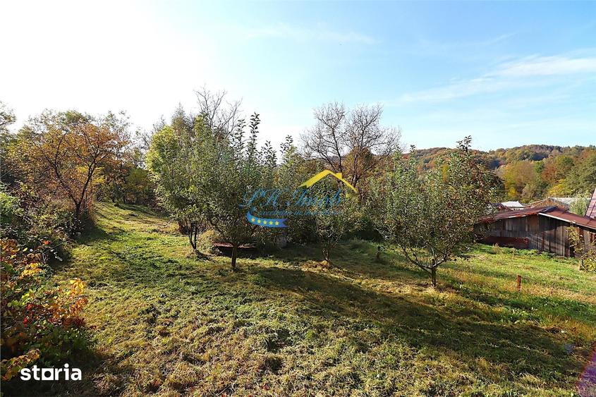Teren de 1501 mp, în Provița de Jos