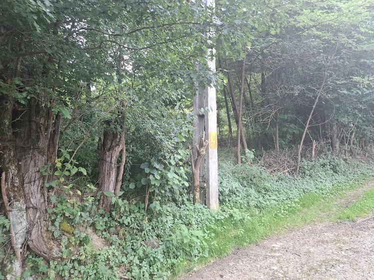 Teren în Valea