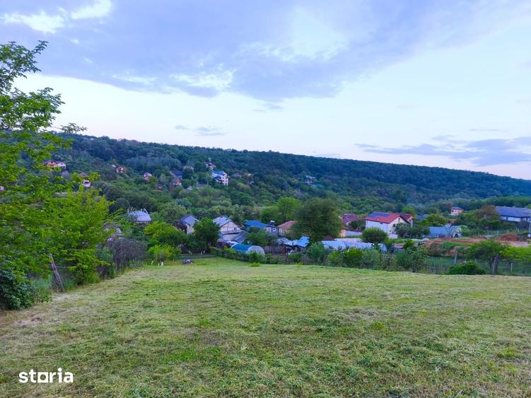 Teren intravilan de vanzare, 2000 mp, deal, padure - 3