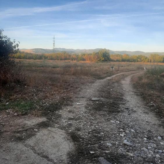 Teren de 7500 mp, în DHS