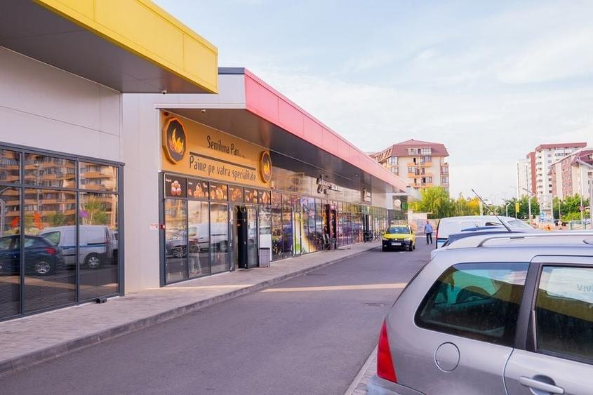 Teren Construcții intravilan de 8900 mp, în Rahova