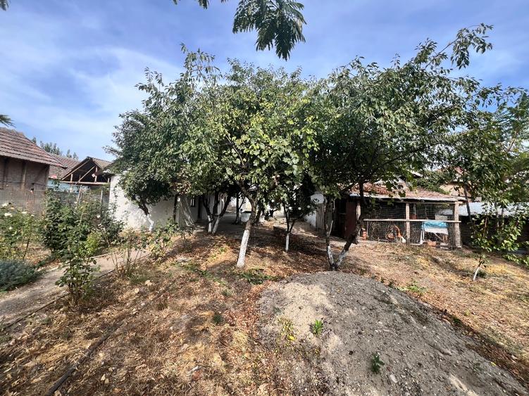 Casă individuală cu 5 camere cu Teren 2000 Mp în Grojdibodu