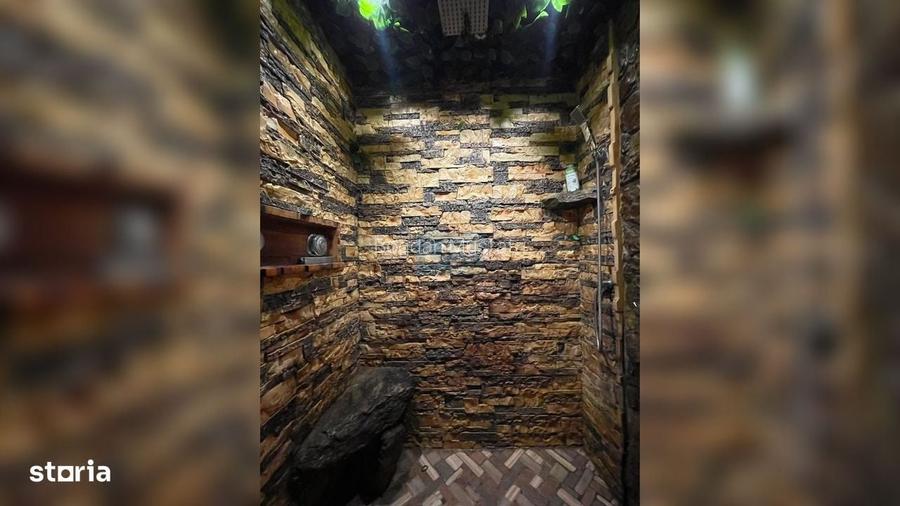 Casa rustica cu piscina,teren generos si potential excelent in Tarnova
