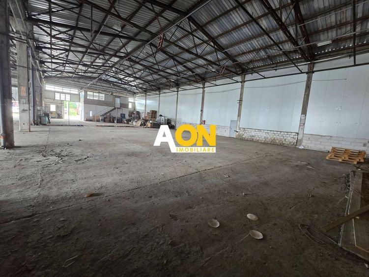 Spațiu industrial, de 900 mp, în Bărăbanț