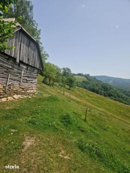 Teren de 26034 mp, în Bulz