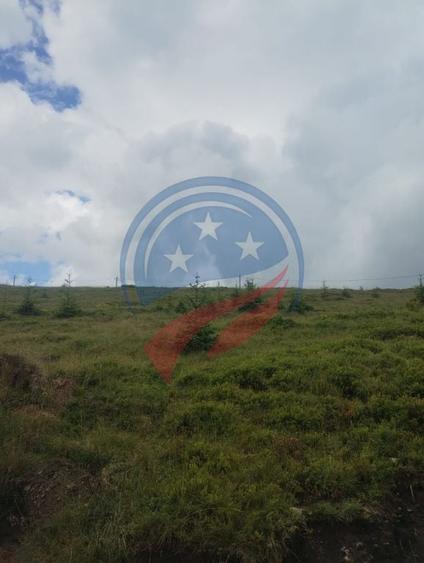 Teren de 1000 mp, în Central