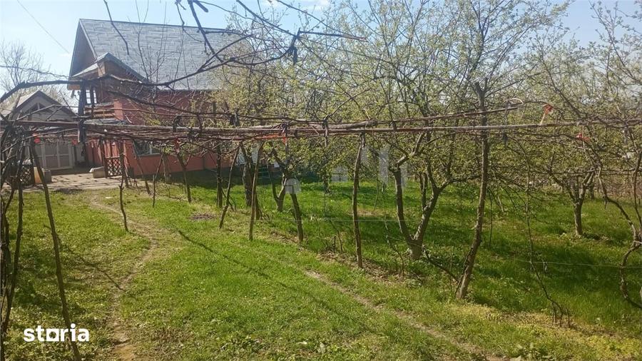 Casă cu 3 camere cu Teren 2000 Mp în Pietrărie