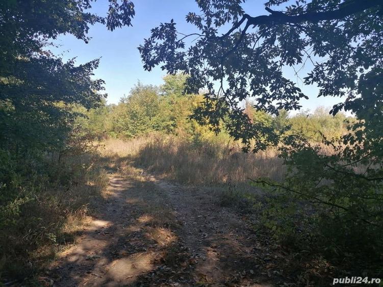 Teren de 4350 mp, în Bălteni