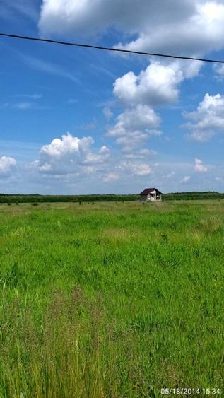 Teren extravilan de 10340 mp, în Brănești