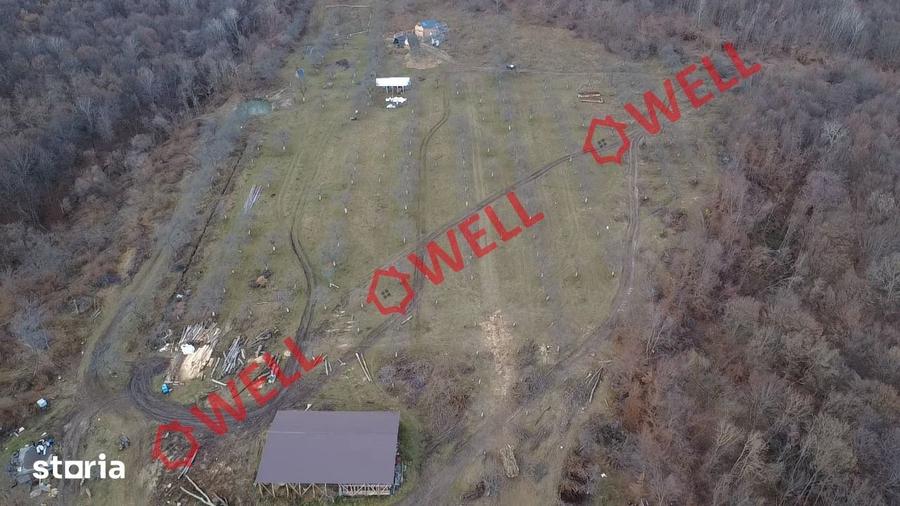 Teren extravilan de 25.274 m2 de vanzare in Calnic, langa padure! - 10