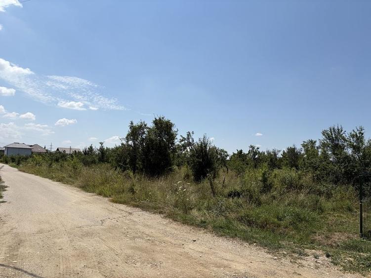 Teren de 780 mp, în Bascov