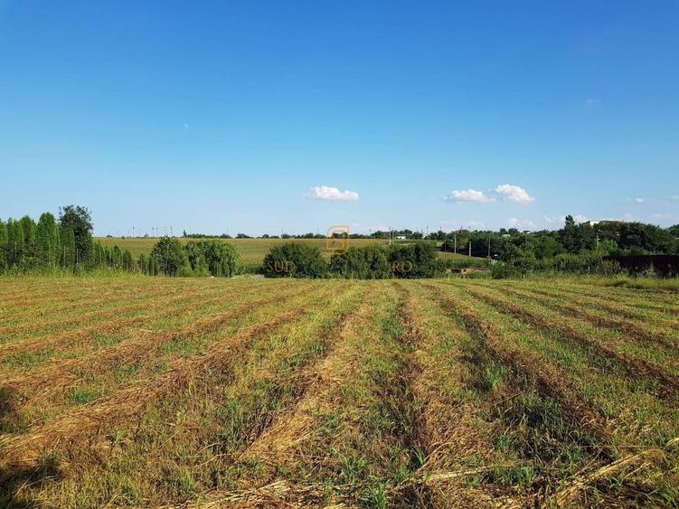Teren Construcții intravilan de 3399 mp, în Sud