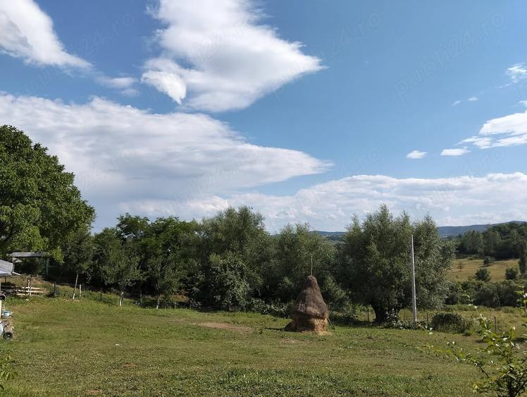 Casă cu 3 camere cu Teren 1000 Mp în Socea