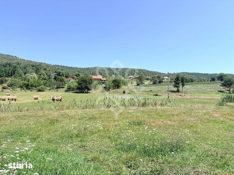 Teren de 4031 mp, în Negreni
