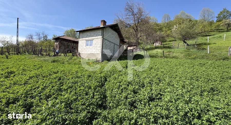 Teren de 14613 mp, în Tigveni