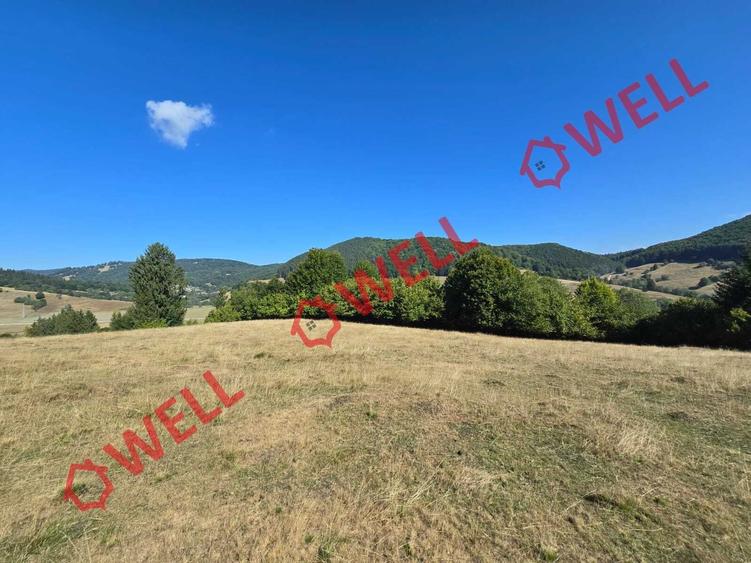 Teren extravilan de 7766 mp, în Dălghiu