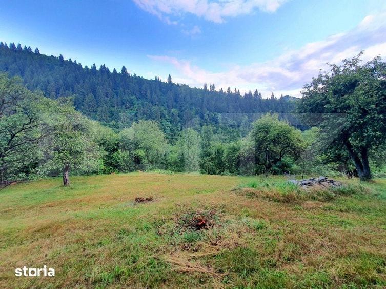 Teren intravilan, 31 ari, Ilva Mica, zona montana - 6