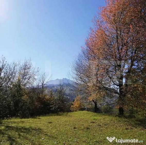 Teren de 2500 mp, în Ceahlău