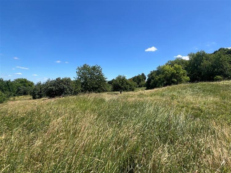 Teren Construcții intravilan de 17475 mp, în Tomești