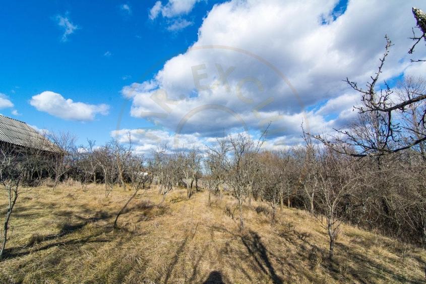 Casă individuală cu 3 camere cu Teren 4145 Mp în Vedea
