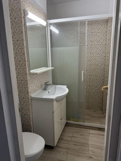 Apartament cu o camera de inchiriat in Arad - 7