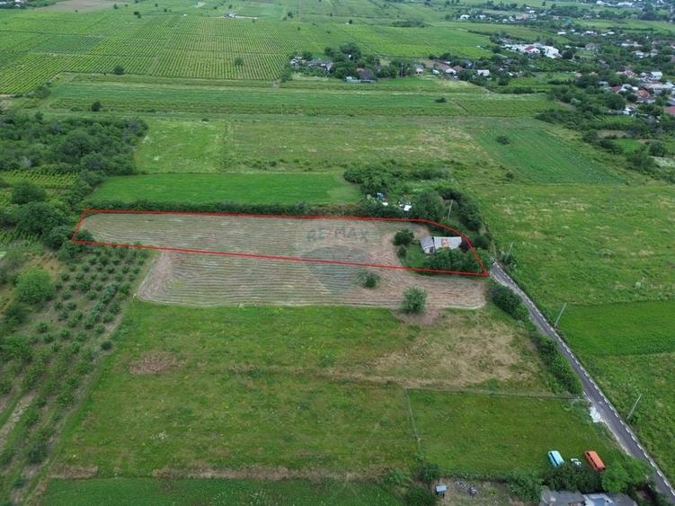 Teren Construcții intravilan de 4229 mp, în Blidari (Cârligele)
