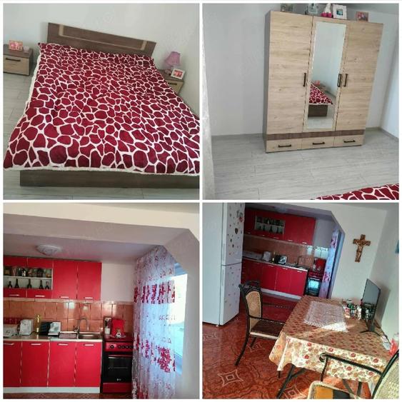 Casă cu 3 camere cu Teren 2700 Mp în Salcia