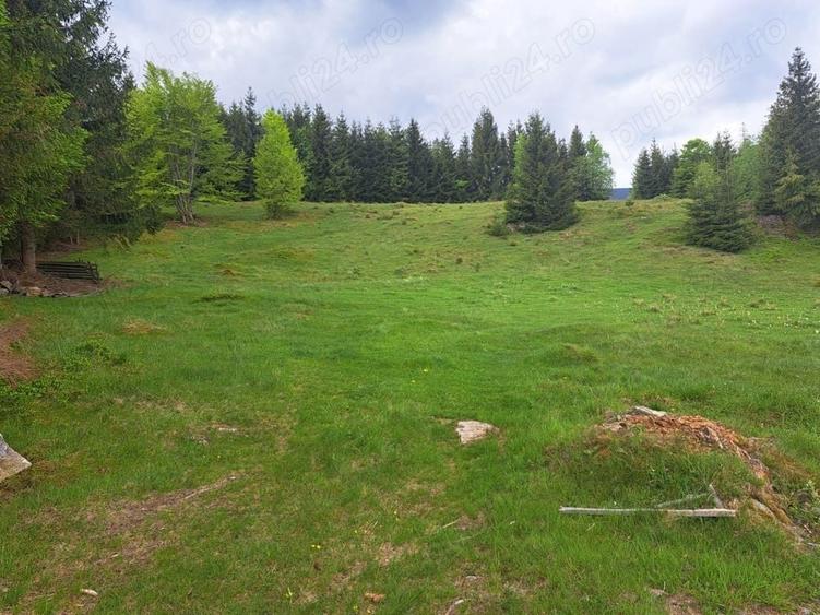 Teren de 25044 mp, în Rogojel