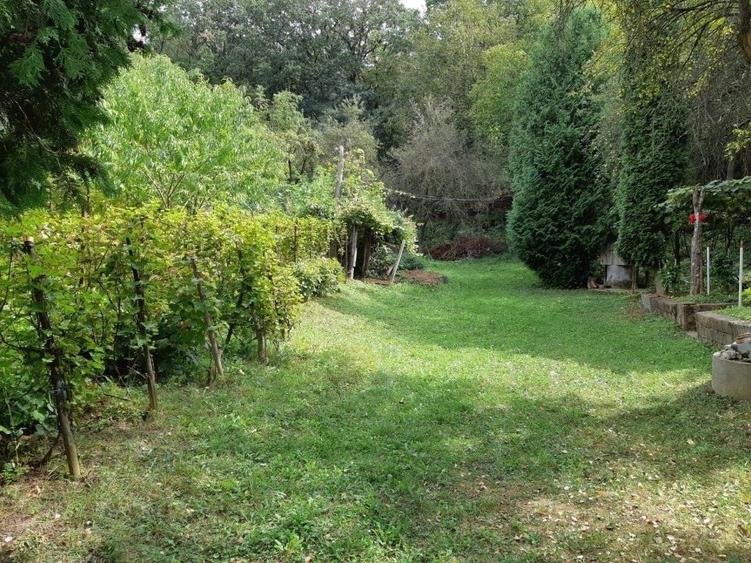 Teren Construcții intravilan de 5200 mp, în Cornișa