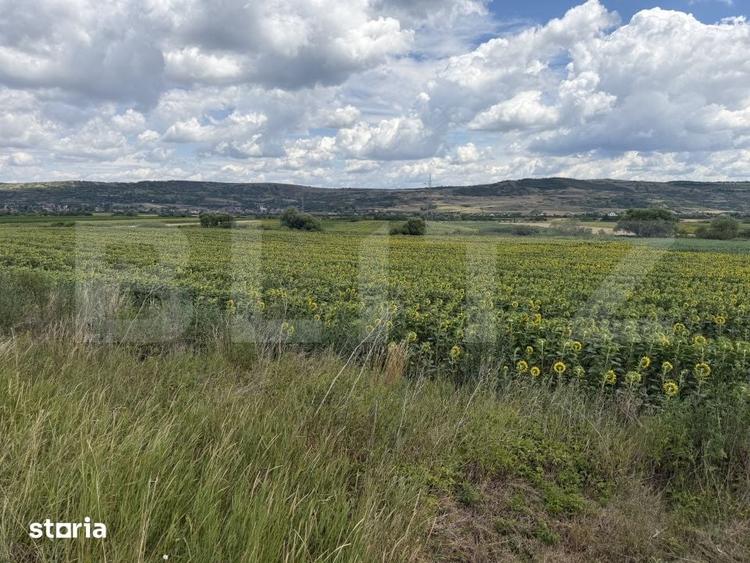 Teren de 11500 mp, în Bobota