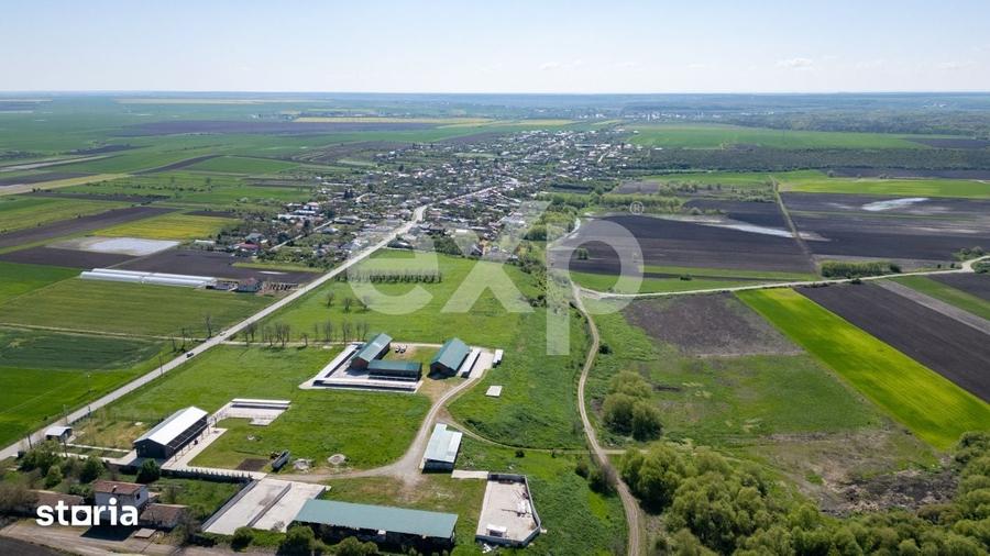 Teren de 105000 mp, în Singureni