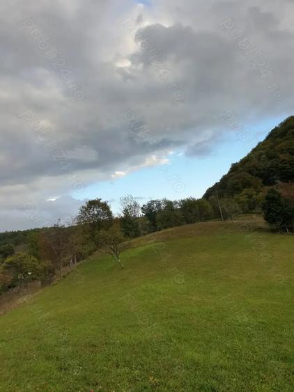 Teren de 8500 mp, în Hărțăgani