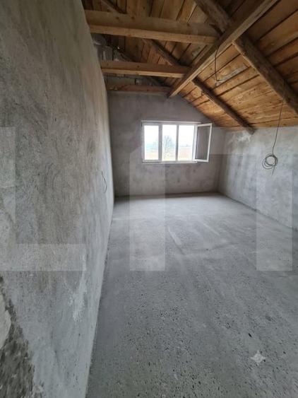 Casă individuală cu 10 camere cu Teren 10000 Mp în Brăești
