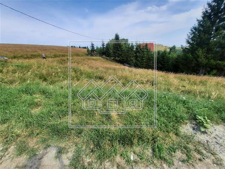Teren Construcții intravilan de 800 mp, în Păltiniș