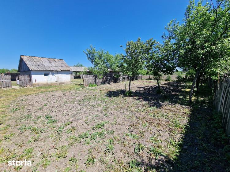 Casă cu 6 camere cu Teren 4780 Mp în Homorog