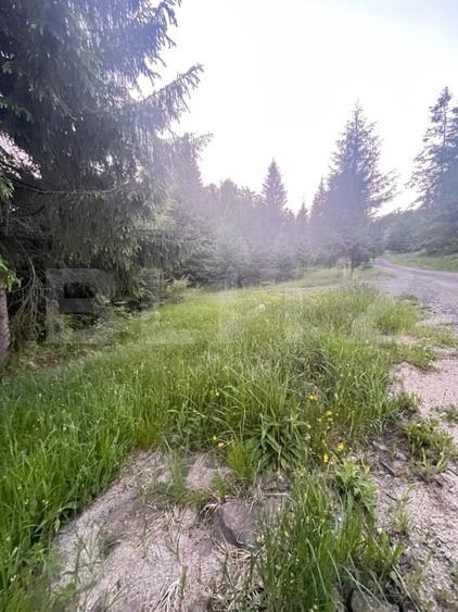 Teren Construcții intravilan de 1000 mp, în Exterior Est