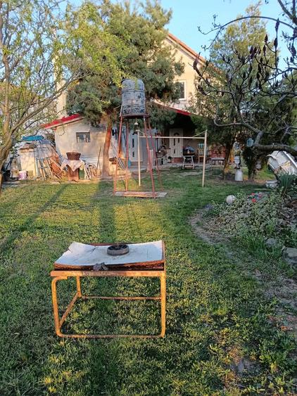 Casă cu Teren 1800 Mp în Pișchia