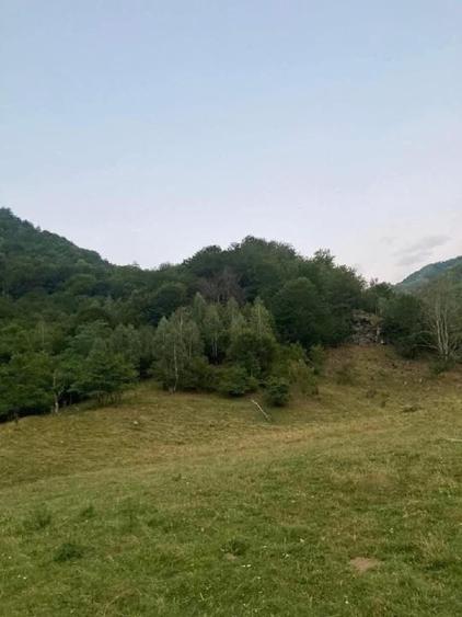 Teren Construcții intravilan de 4000 mp, în Râu de Mori