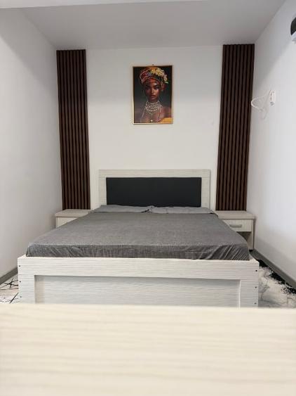Apartament cu 2 camere semidecomandat în Craiovei