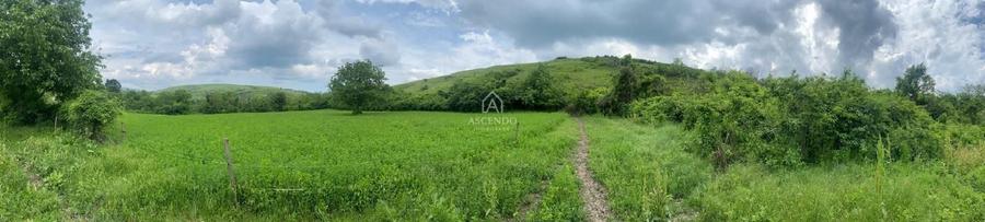 Teren Construcții intravilan de 15900 mp, în Fințești