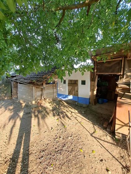 Casă cu 3 camere cu Teren 2700 Mp în Cenaloș