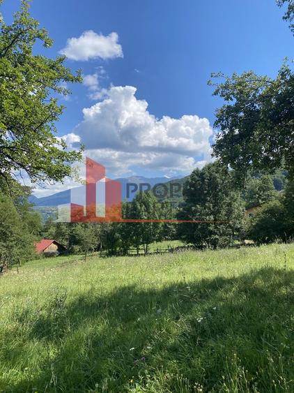 Teren Construcții intravilan de 6273 mp, în Bran