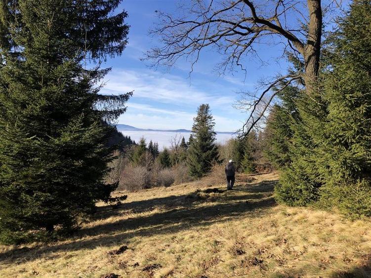 Teren extravilan de 4900 mp, în 13 Decembrie