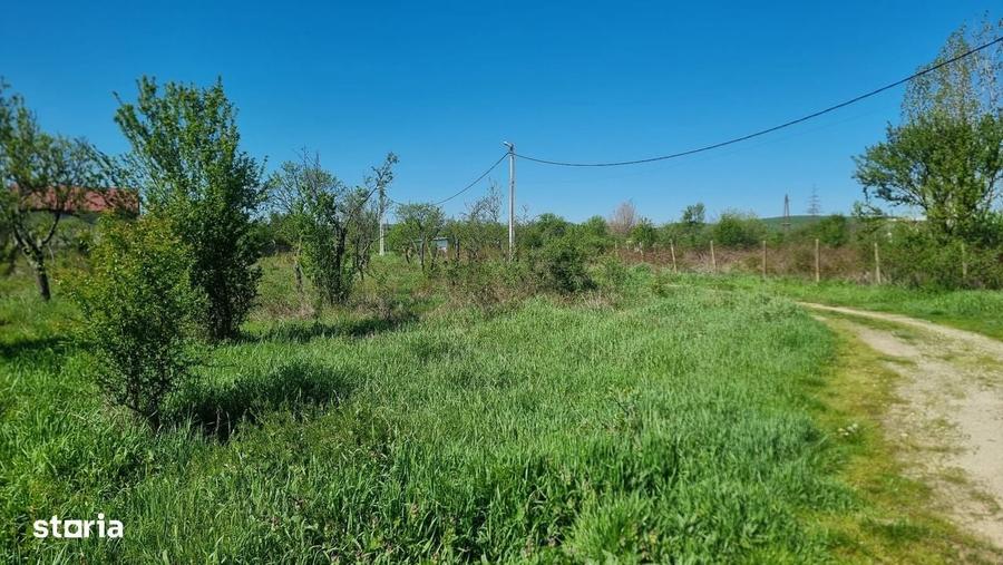 Spațiu comercial, în Bascov
