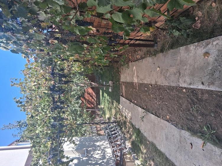 Casă cu Teren 270 Mp în Central